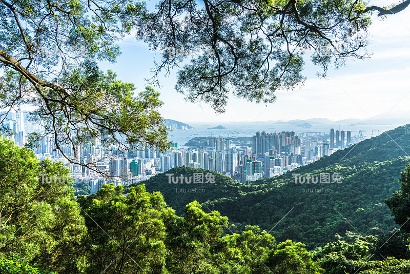 山坡上的绿树，俯瞰香港摩天大楼的城市景观