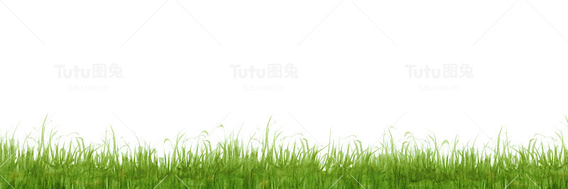 草原
