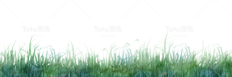 草原