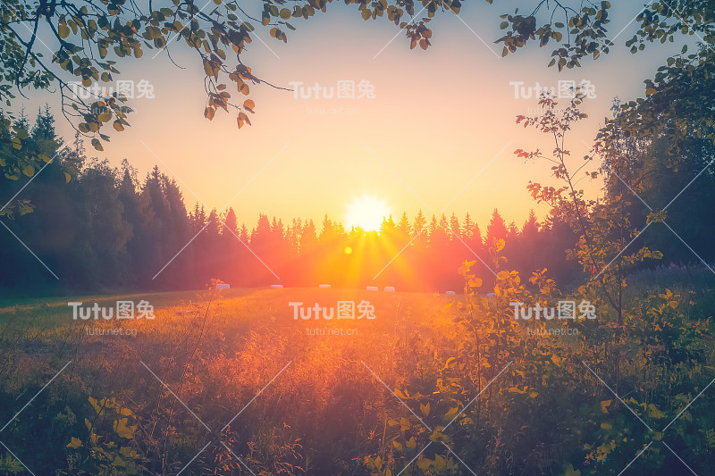 芬兰索特卡莫的夏夜日落。