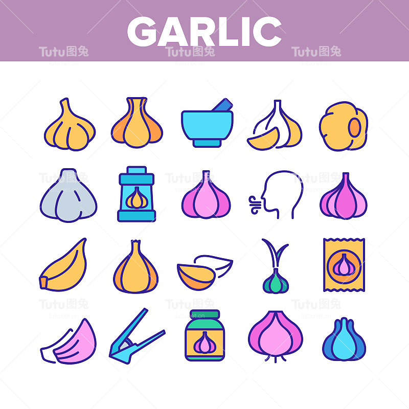 大蒜辛辣蔬菜收集图标设置向量