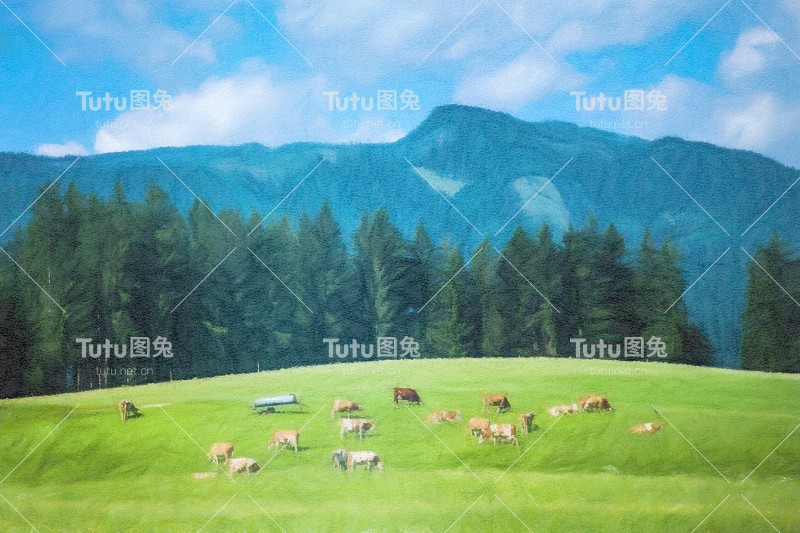 插图或水彩素描