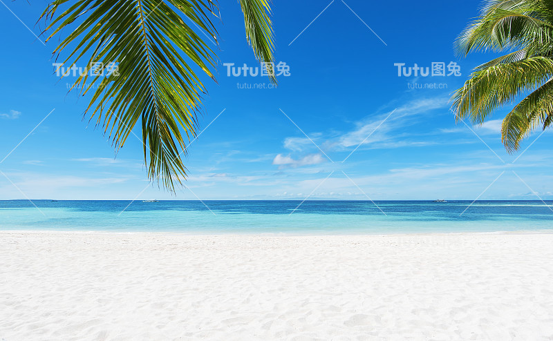 热带海滩夏季背景