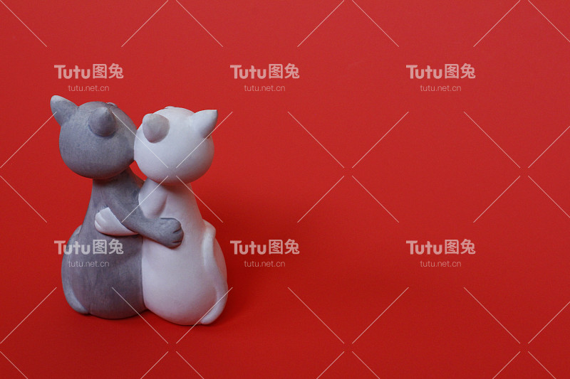 两只猫在拥抱。猫很亲密，彼此相爱。