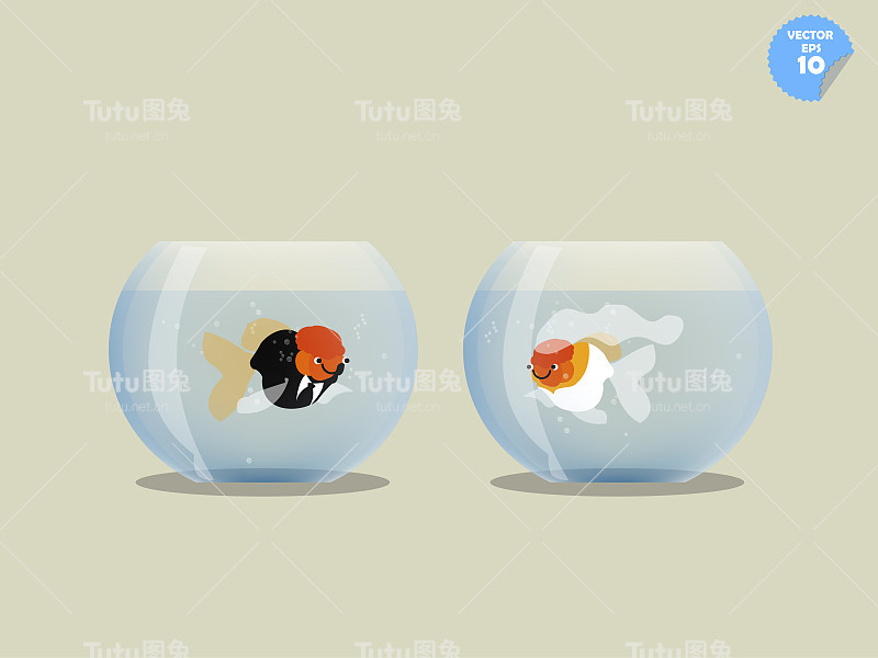 新人金鱼装，新郎新娘隔碗金鱼，隔碗金鱼，新婚观念