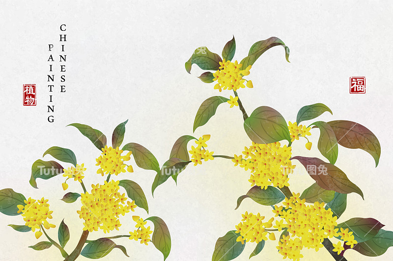 中国水墨画艺术背景植物淡雅花桂花。中文翻译:植物和祝福。