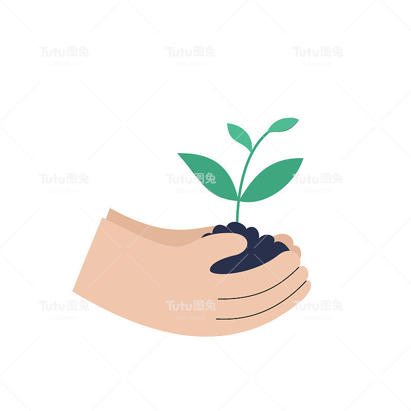 白色背景下手持植物的特写镜头