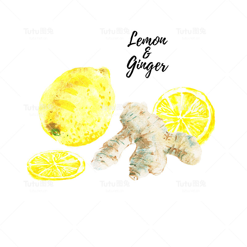 水彩黄色柠檬，生姜根孤立在白色背景。柑橘类水果切片，切成两半。手绘插图孤立在白色背景