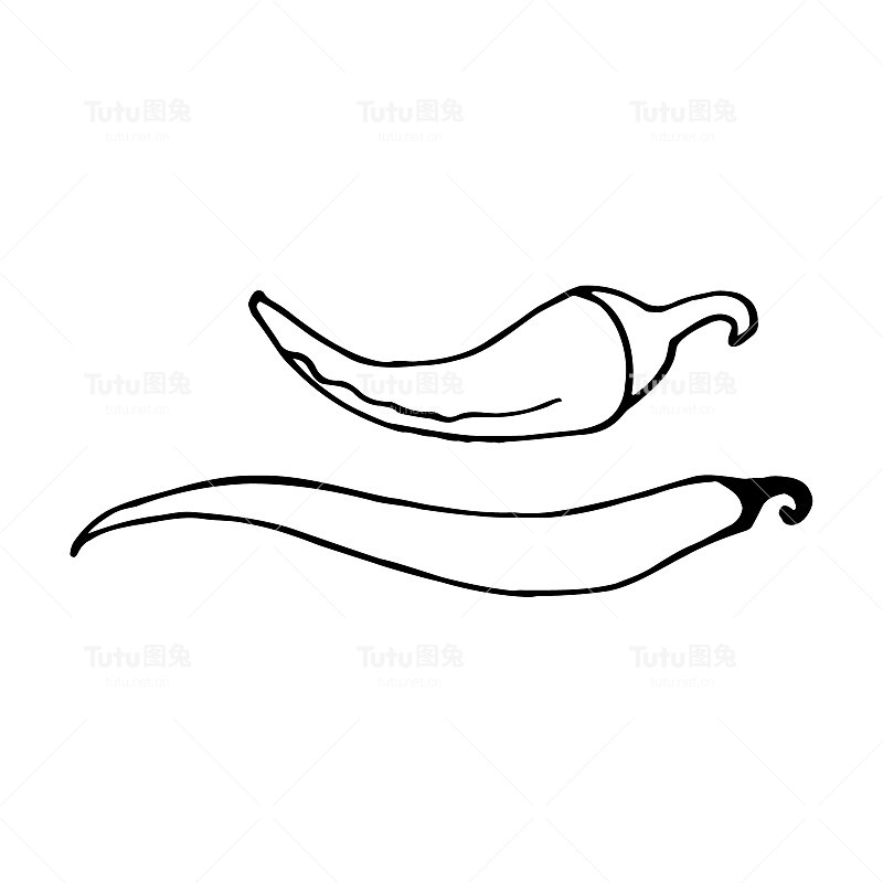 辣椒——墨西哥传统蔬菜。手绘素描涂鸦。矢量透明插图菜单，海报，网页和包装设计。孤立在白色背景上。