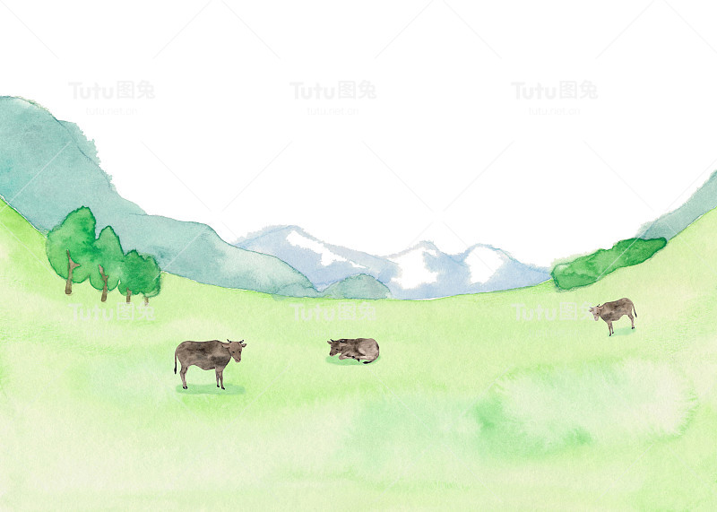 草甸景观