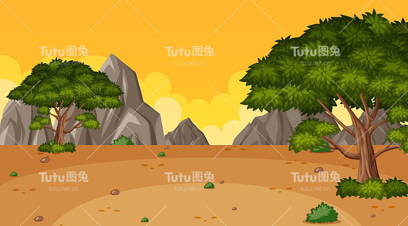 公园里有很多树的背景