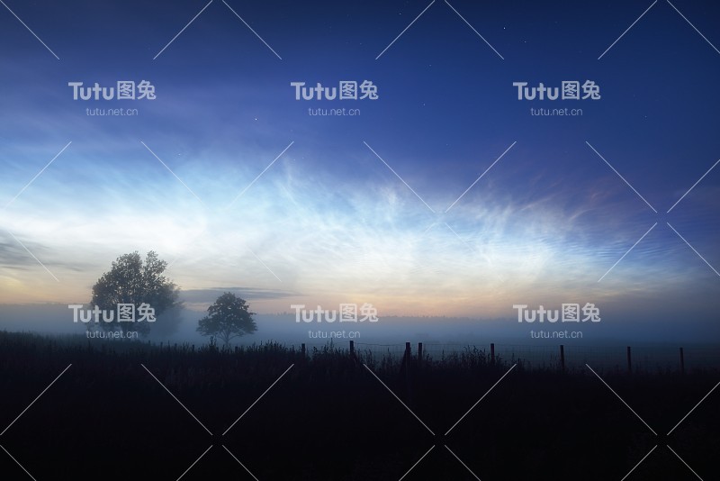 夏至之夜，芬兰乡间田野上的星空和夜光云。孤独的树木在雾的特写。美丽的光。神奇的cloudscape。田园式的农村风景