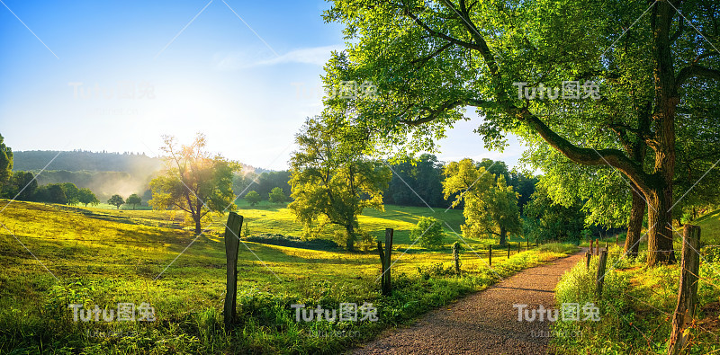 夏末的乡村景观