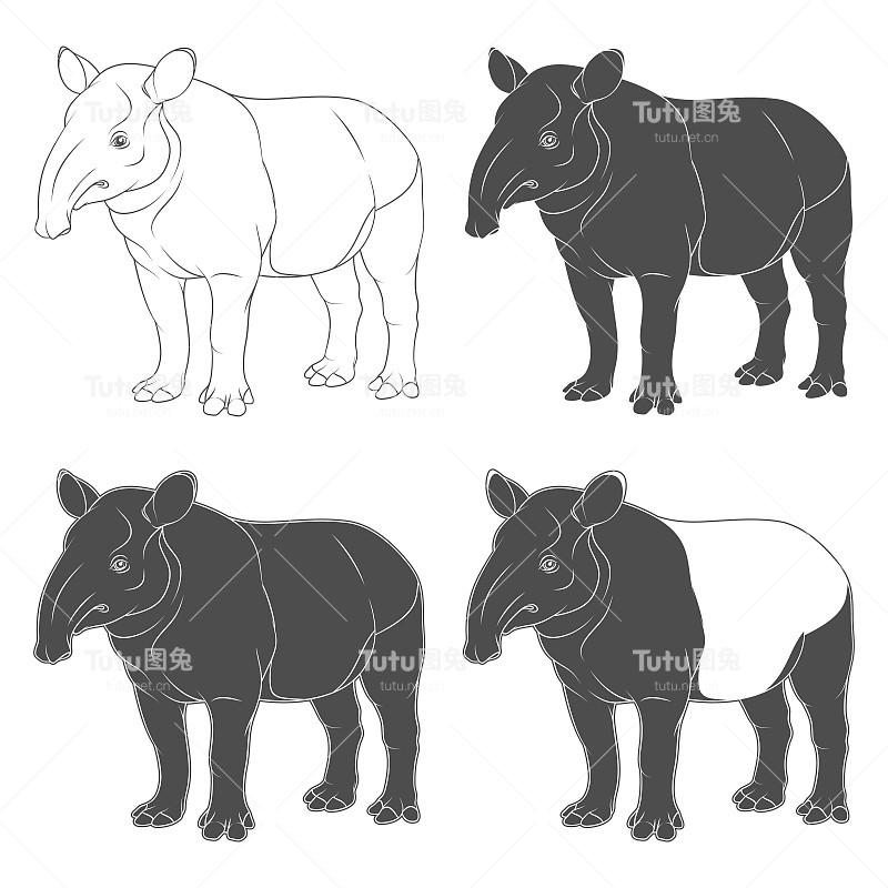 貘的黑白插图。孤立的矢量对象在白色上。