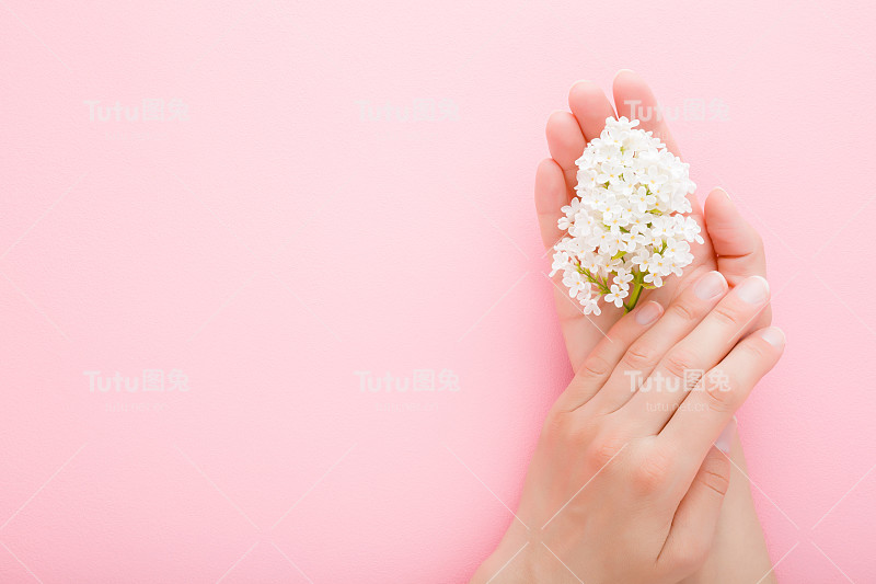 美丽的白色丁香花在年轻女子的手在浅粉色的桌子背景。柔和的颜色。特写镜头。视角拍摄。文本的空位置。自顶向下的观点。