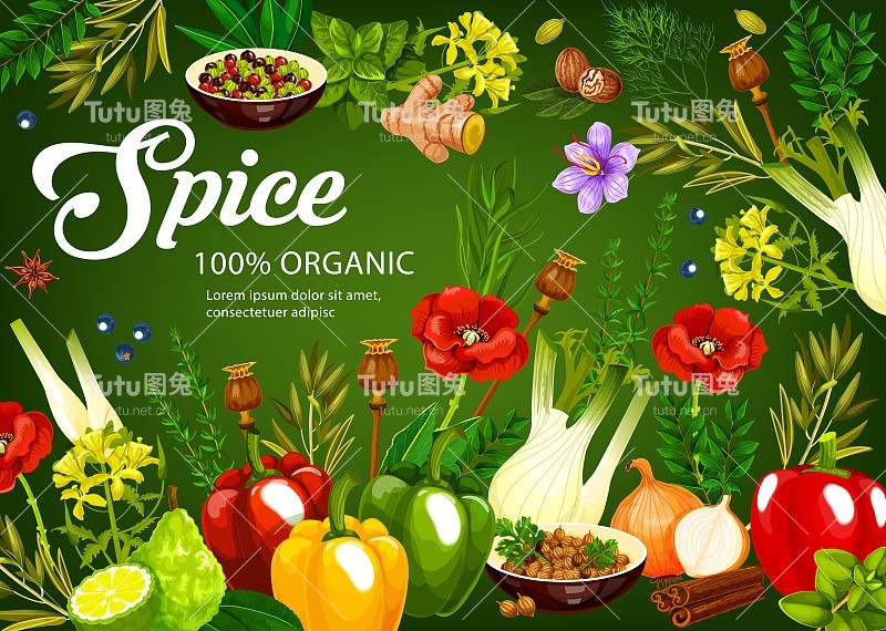 香草，香料，调味蔬菜，调味品