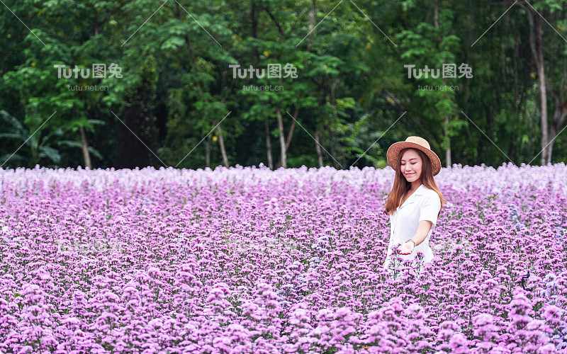 玛格丽特花圃里的一位年轻美丽的亚洲女子