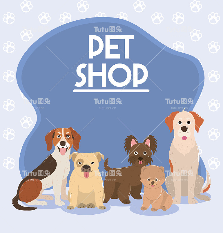 宠物店，不同的狗狗家畜海报