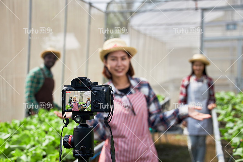 年轻的创意影响者在线直播农业示范。