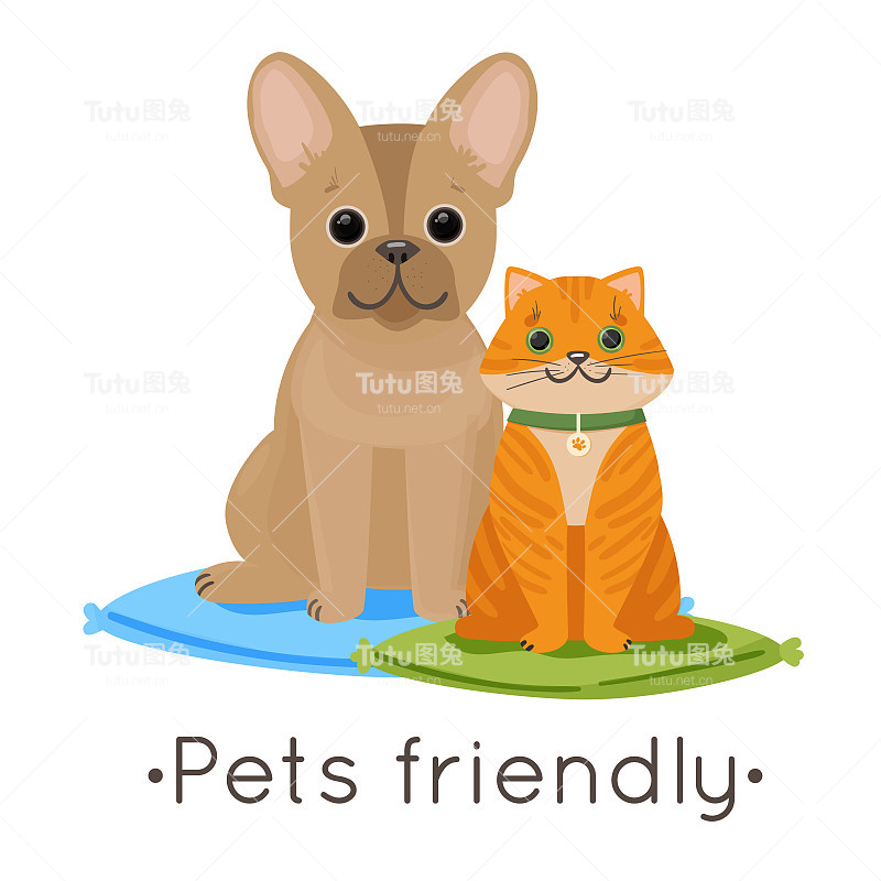 可爱的法国斗牛犬和姜黄色的猫在枕头上。带有宠物友好标志。用于横幅、传单、明信片、咖啡馆、兽医诊所、餐馆和酒店的标志。