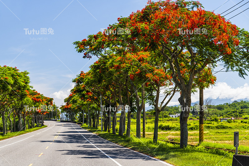 台湾花莲的道路风景