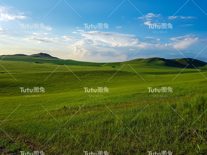 锡林浩特-在内蒙古锡林浩特丘陵景观的全景。一望无际的草原，中间有几朵野花