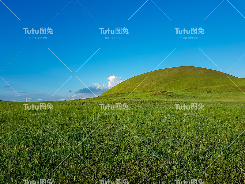 锡林浩特-在内蒙古锡林浩特丘陵景观的全景。一望无际的草原，中间有几朵野花