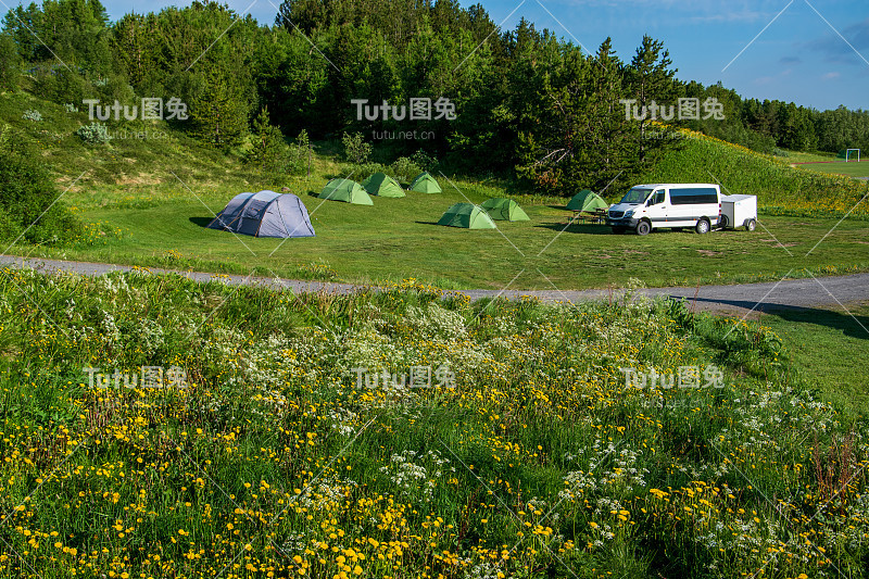 在冰岛的营地。帐篷在新割过的草地上。蒲公英、蒲公英和蓍草在边缘开花。