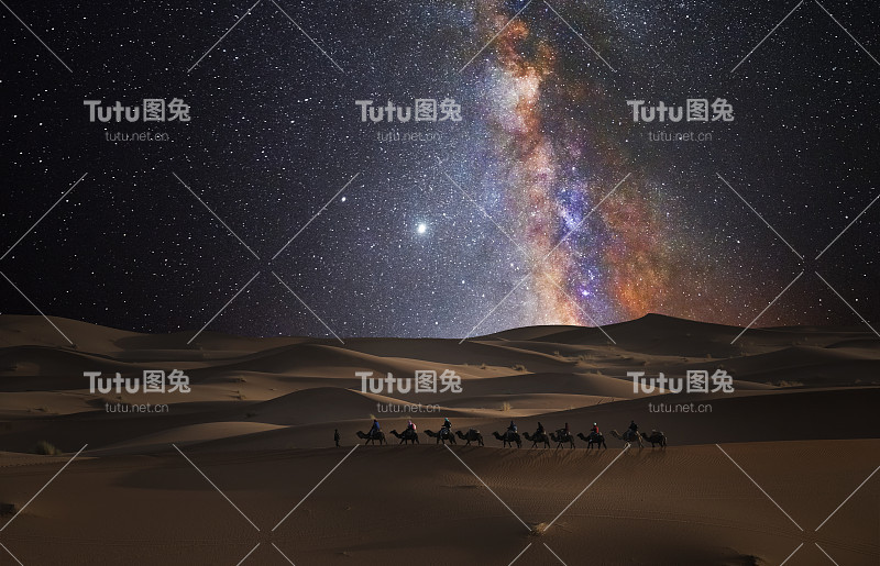 星空下沙漠中的骆驼商队