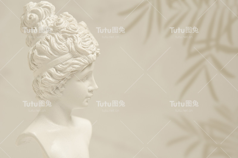 植物沙色背景模板与女性肖像图像。