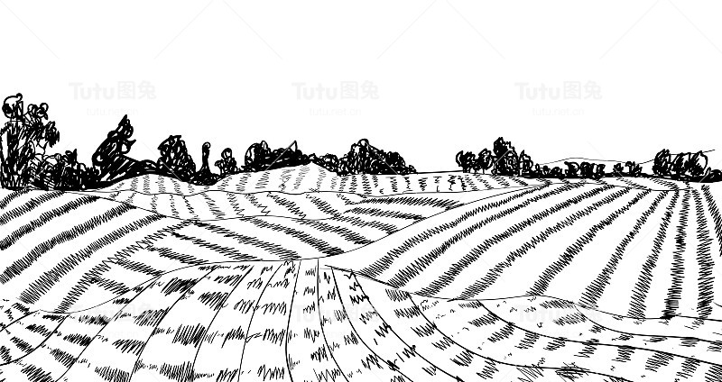 矢量农场农场素描，雕刻风格，黑白背景模板，图纸上的白色背景。
