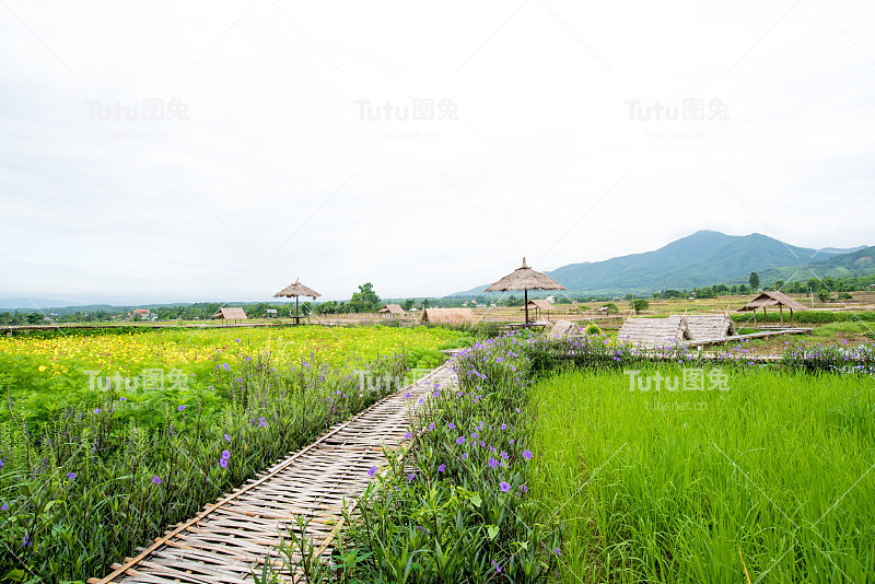 泰国自然家庭住宿，最佳有机农场住宿