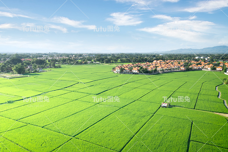 泰国清迈鸟瞰图中的绿地和房屋景观。