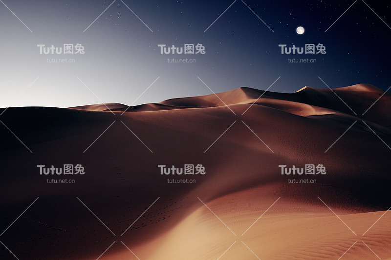 沙丘的夜晚