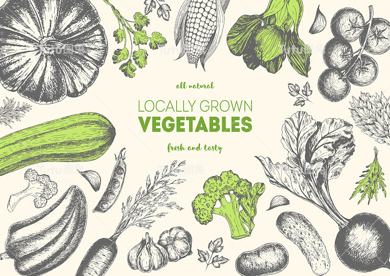 蔬菜顶视图框架。农贸市场菜单设计。有机食品的海报。复古手绘草图矢量插图。线性图形。