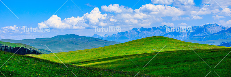 绿草青山，蓝天为背景。