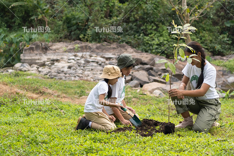 孩子们，男孩和女孩们在森林里互相帮助植树，在一位女老师的带领下学习环境和森林生态。拯救环境。志愿者团队。