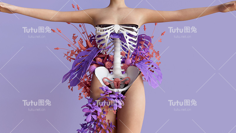 医学插图女性生殖系统有子宫，子宫颈，卵巢，输卵管。人体解剖学。