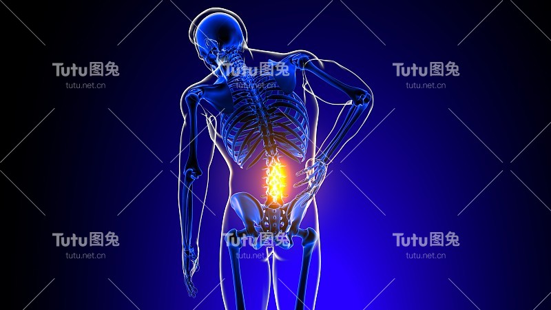 腰椎关节疼痛解剖医学概念3D