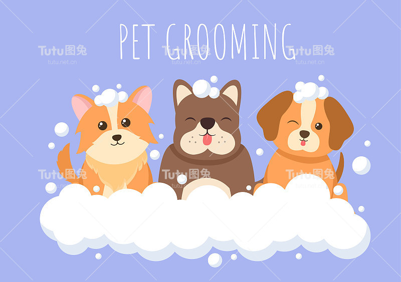 宠物美容的狗和猫在平面卡通手绘背景插图。用于美容院海报或横幅的主要工具