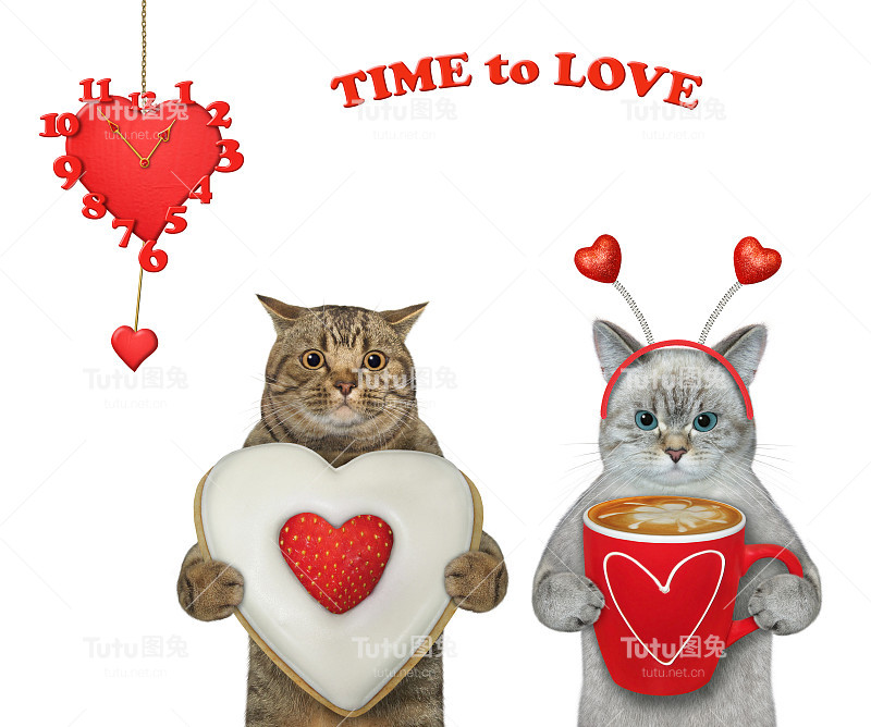 恋爱中的猫拿着咖啡和饼干