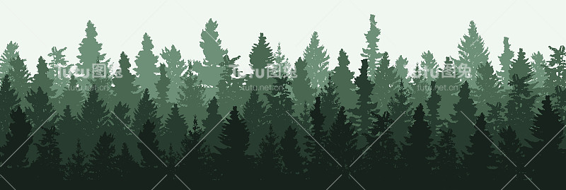 森林全景。木景观。松树的变种。向量EPS 10