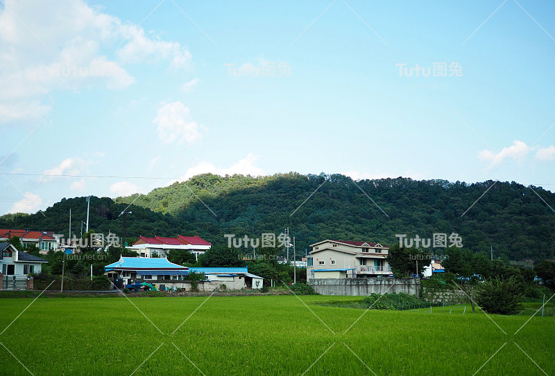 韩国乡村、乡村、住宅、景观