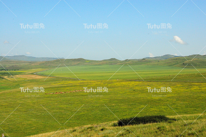 从上面俯瞰一望无际的丘陵草原，以及在夏日多云的天空下穿过草原的道路。