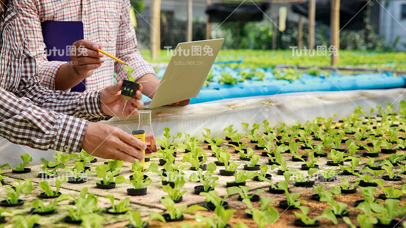 智能农业技术概念-农民检测植物苗圃有机水培红栎水ph值。智能农业