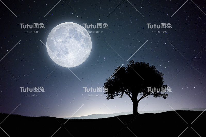 满月