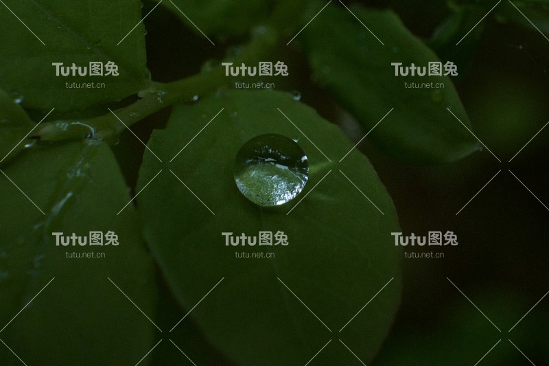 水滴