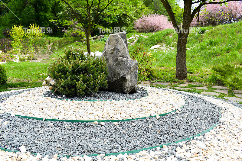 美丽的绿色植物园，装饰花坛与黑色和白色的鹅卵石，石头，树木，灌木丛。风景优美的夏季园林自然背景。景观设计概念