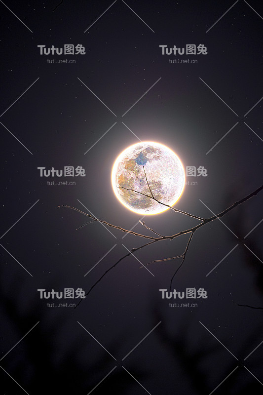 二月的满月——雪月