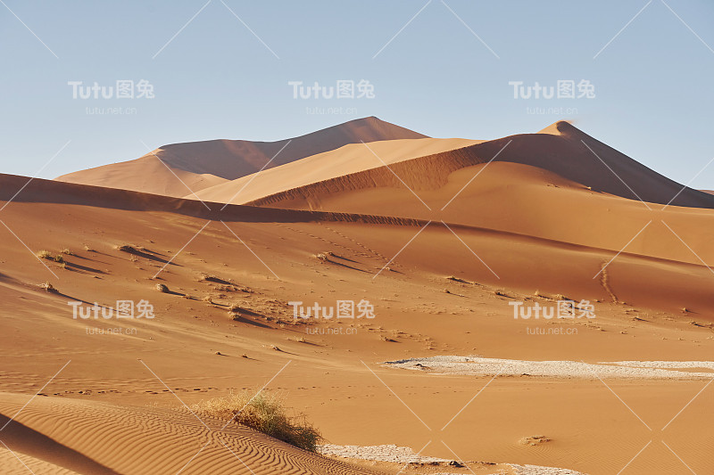地平线很远。非洲沙漠的壮丽景色